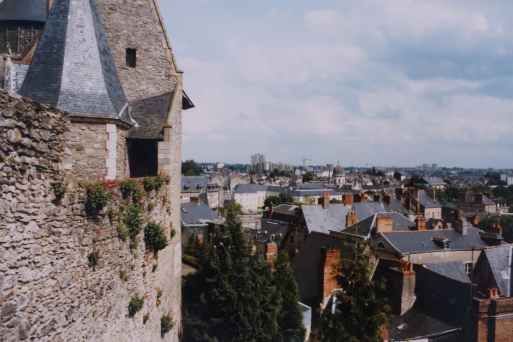 DSC00077.jpg