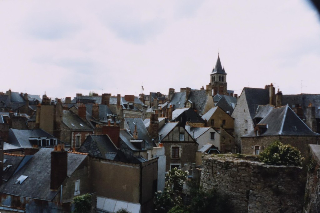 DSC00095.jpg