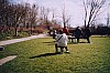 DSC00113.jpg