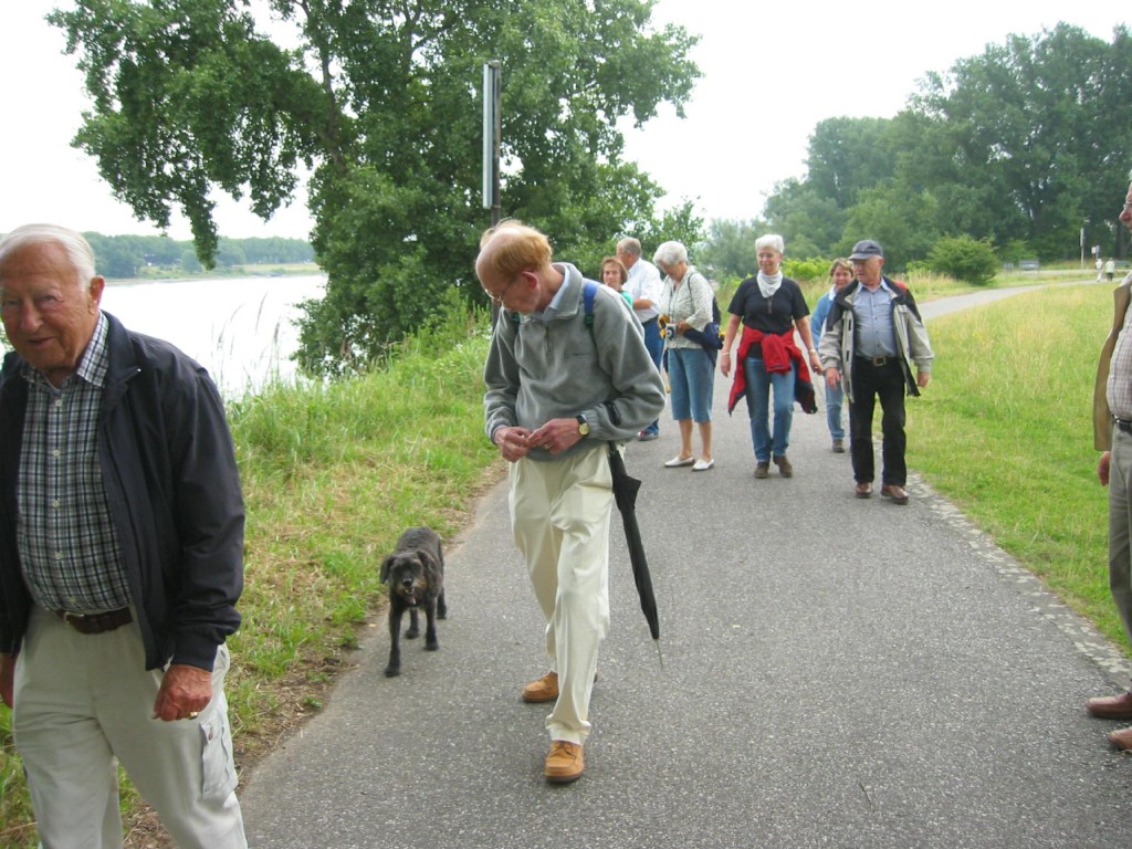 IMG_8494.jpg