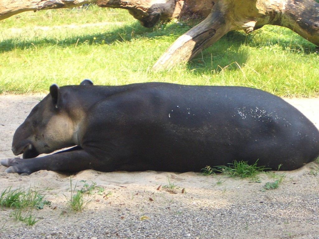 0125A.jpg