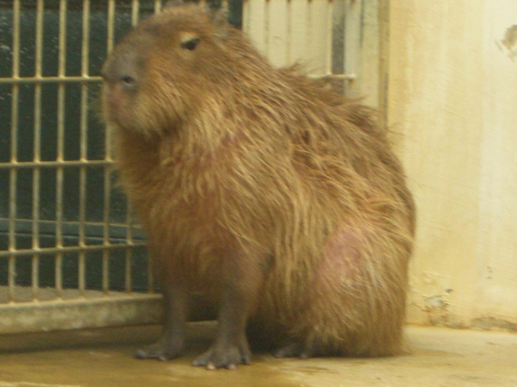 0125B.jpg
