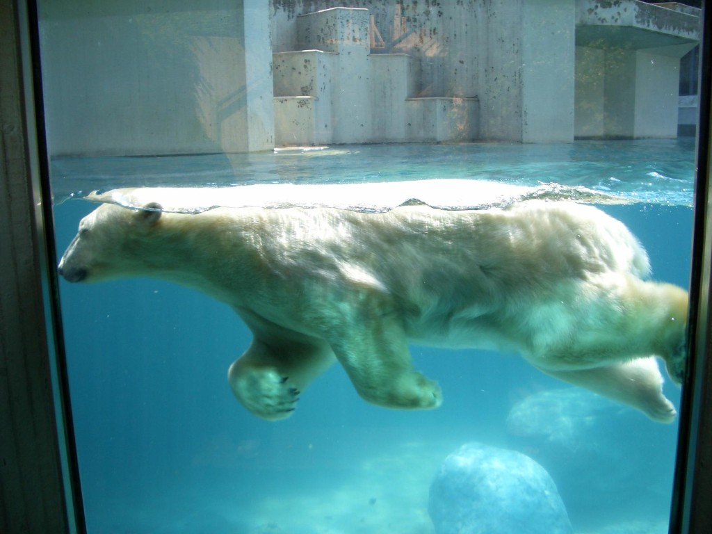 2005-09-Foto9-Zoobesuch.jpg