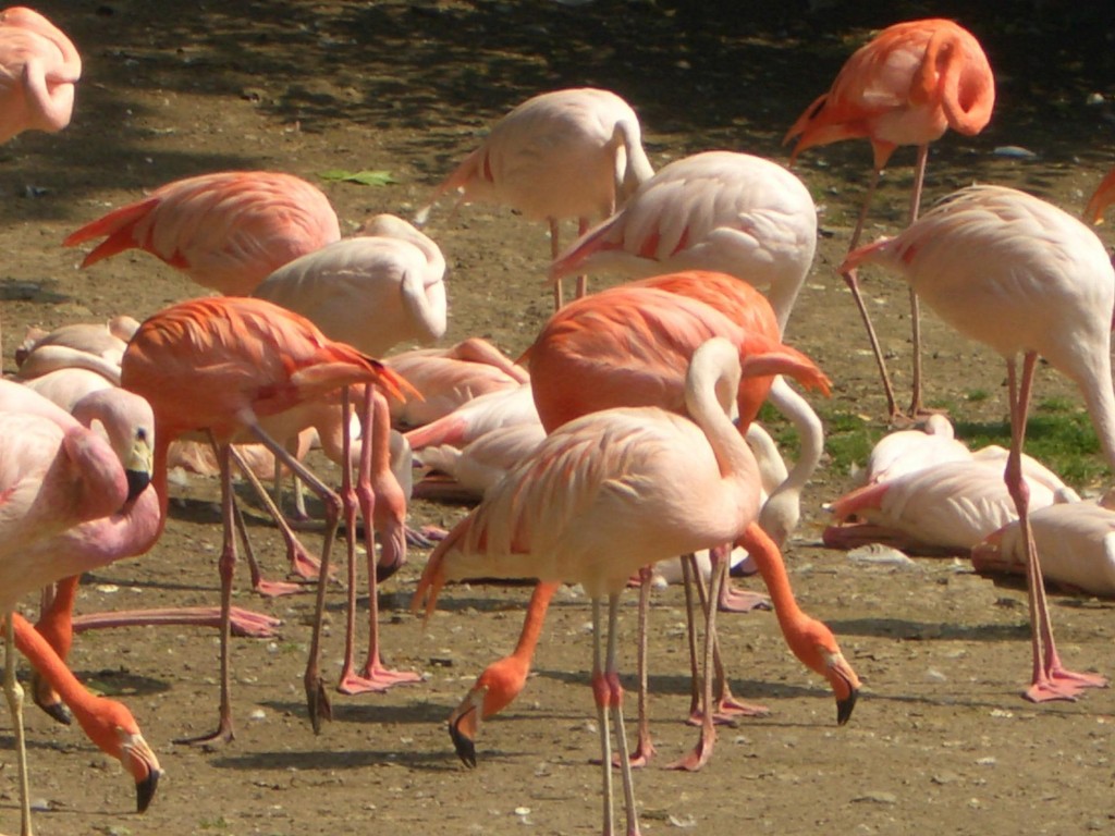 2005-09-FotoB-Zoobesuch.jpg