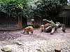 2005-09-Foto8-Zoobesuch.jpg