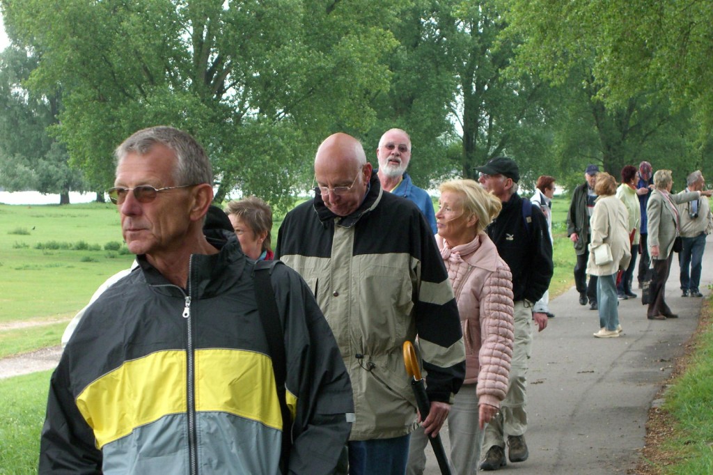 CIMG3158.jpg