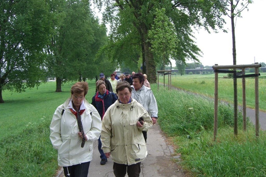CIMG3164.jpg