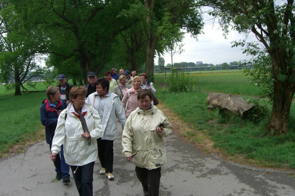 CIMG3165.jpg