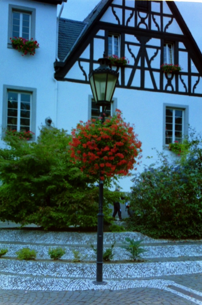 PICT2732.jpg