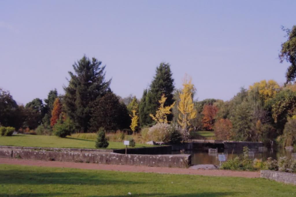 DSC00125.jpg